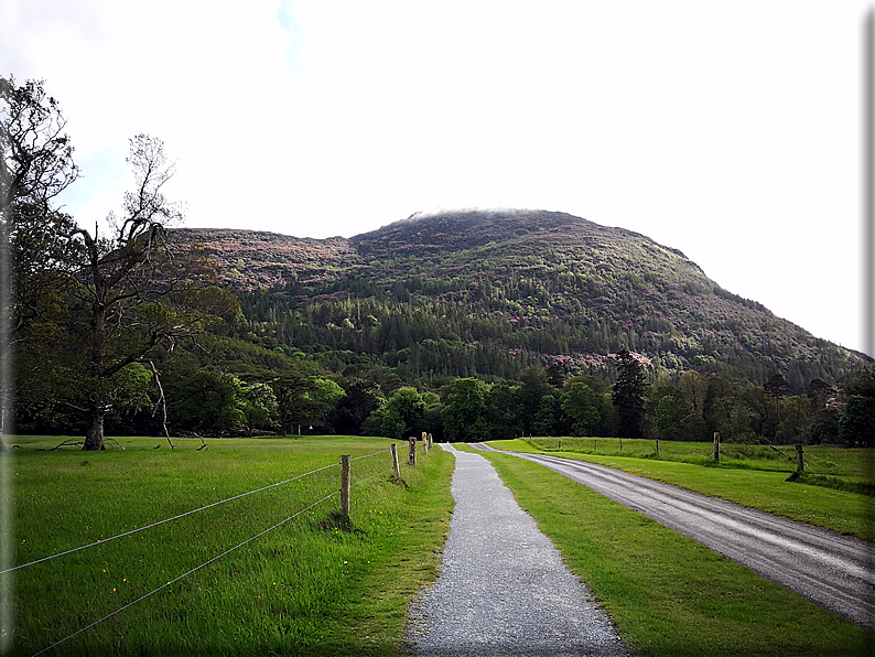 foto Parco di Killarney